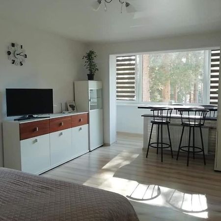 Light one room apartment Visaginas Buitenkant foto