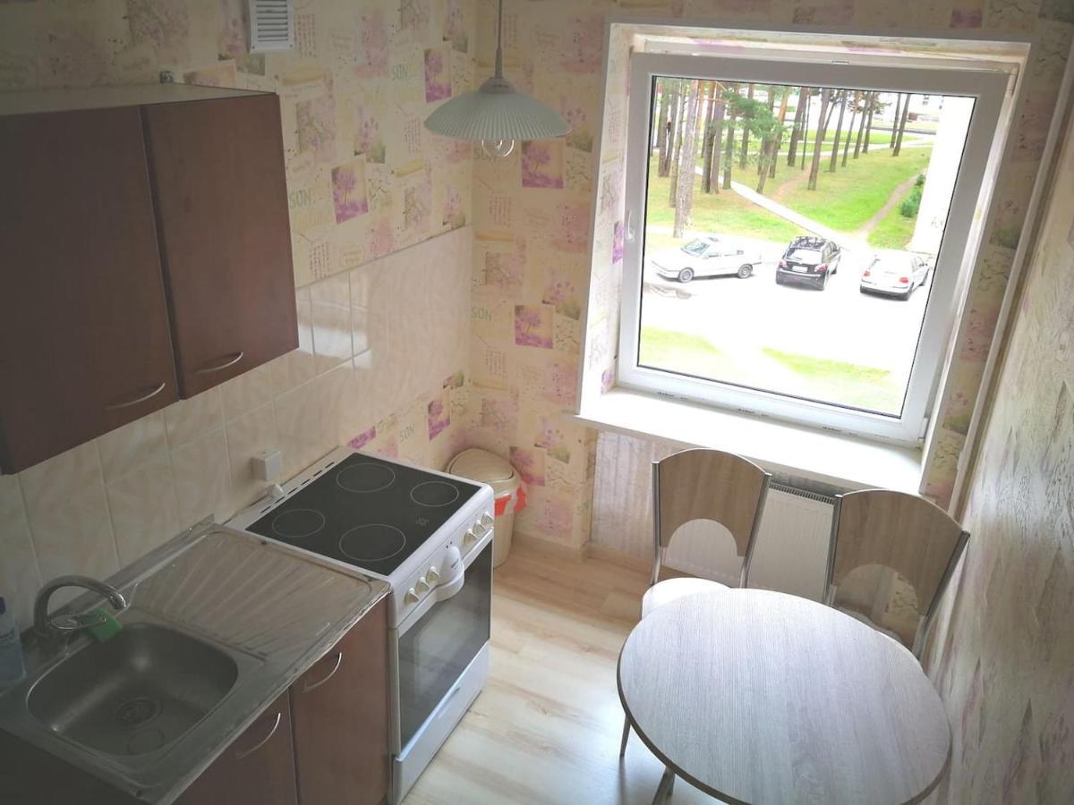 Light one room apartment Visaginas Buitenkant foto