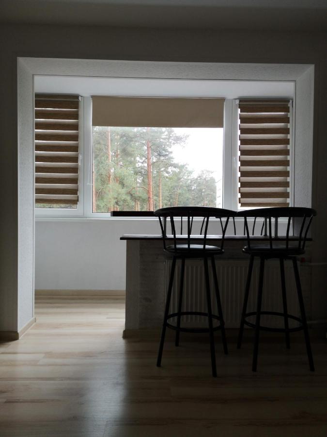 Light one room apartment Visaginas Buitenkant foto